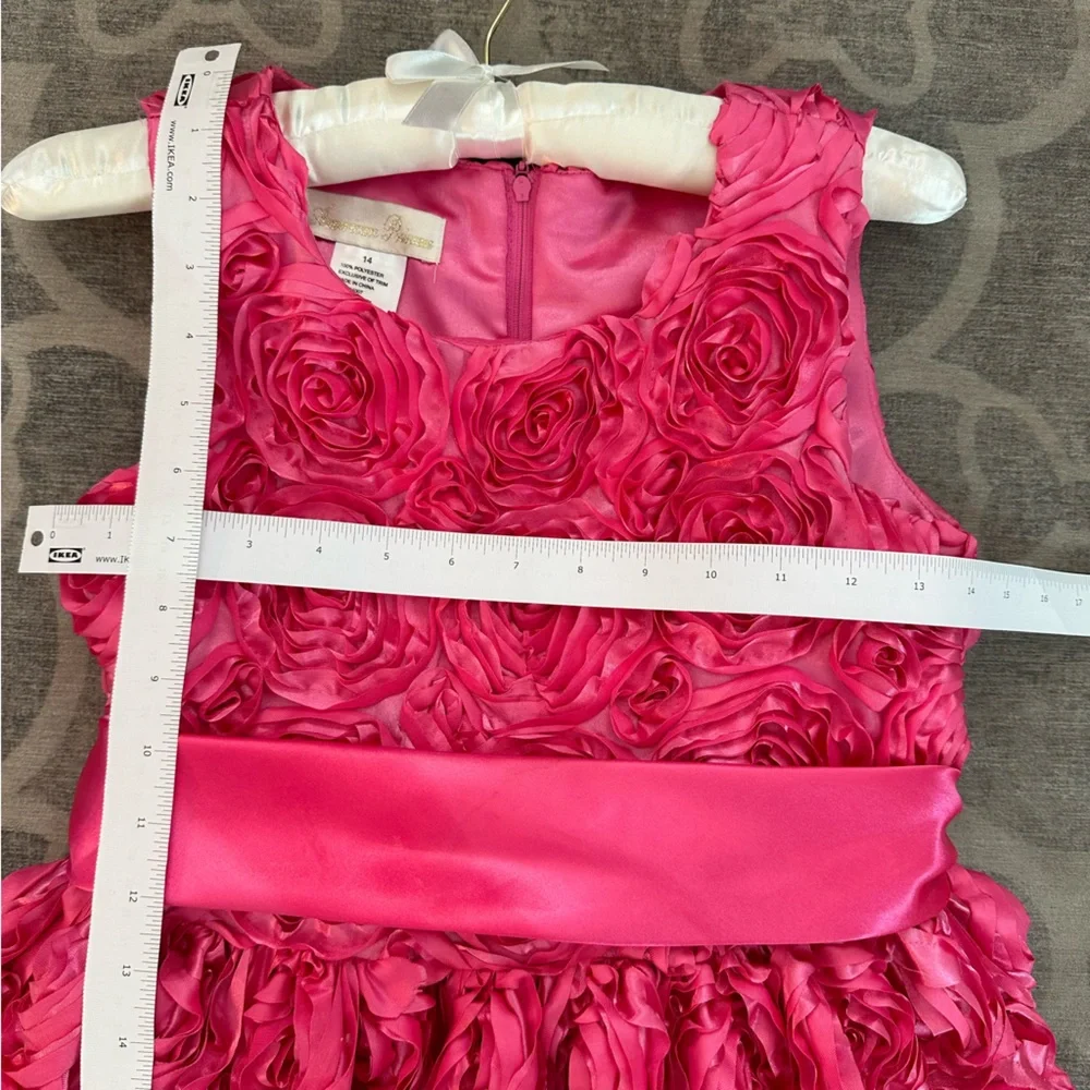 American Princess Pink dress with Rose embellishments
